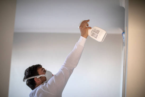 Best Commercial Mold Remediation in Rutledge, GA