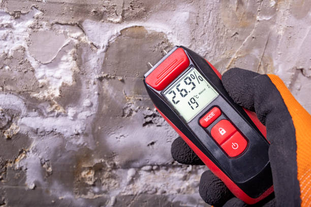 Best Bathroom Mold Remediation in Rutledge, GA